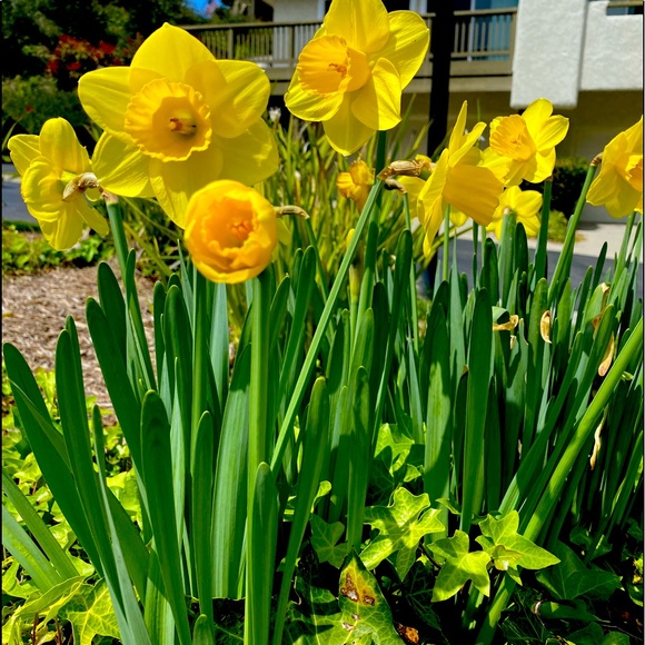 Meet your Posher, Lori - Picture 1 of 1